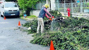 Martara Tree Service place picture